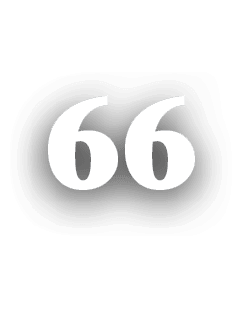 66