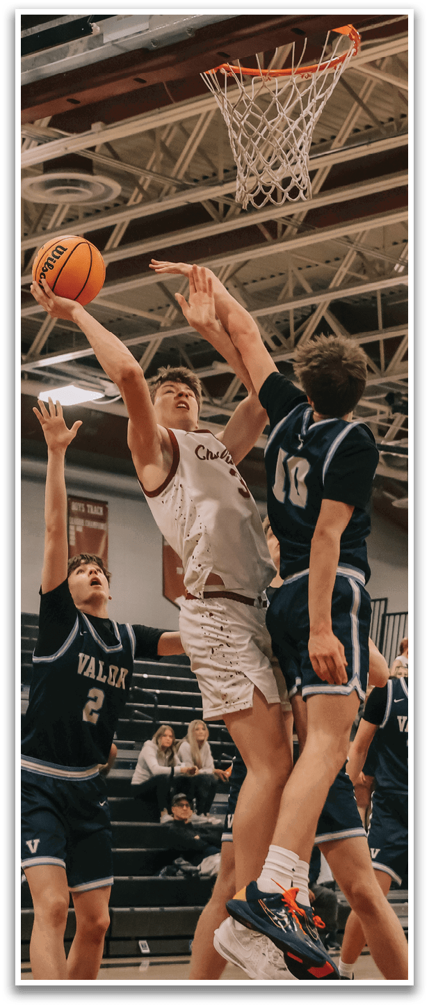 [Alt text was not generated.]