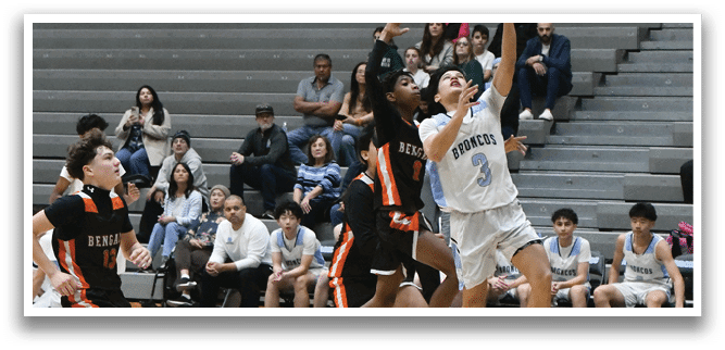 [Alt text was not generated.]