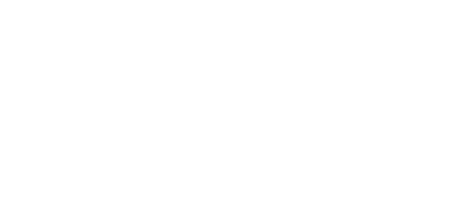 MICHELLE AMUNDSEN PARENT LIAISON David Carrizales / @_djcphoto_ PHOTOGRAPHER Haidee Buhisan Laurente Suzy Martirosyan...