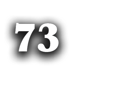 73