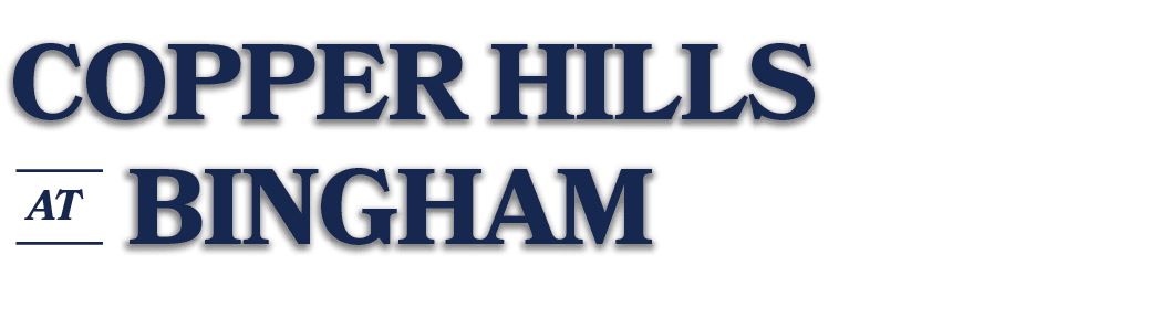 AT,BINGHAM,COPPER HILL