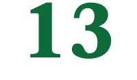 13