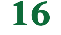 16