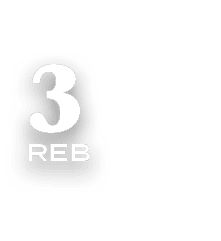 3 reb