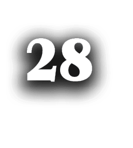 28