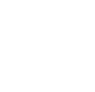 80