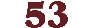 53