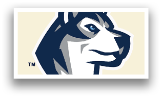 A logo of a dog with a blue nose and blue eyes. AI generated content