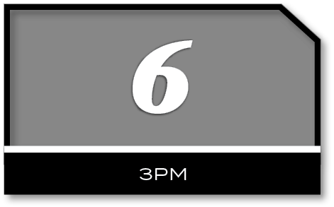 6,3P