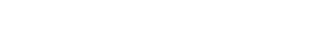 SHE GOT GAME CLASSIC