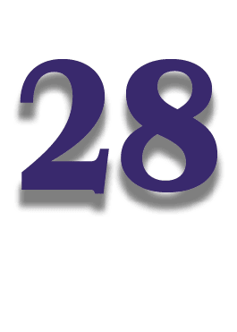 28