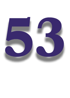 53