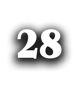 28