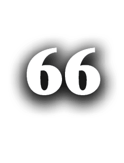 66