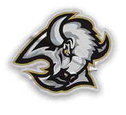 A collection of stickers and magnets featuring a buffalo, basketball, and a basketball court. AI generated content