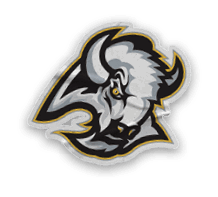 A collection of stickers and magnets featuring a buffalo, basketball, and a basketball court. AI generated content