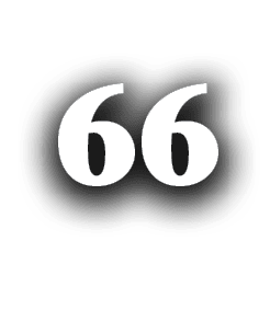 66