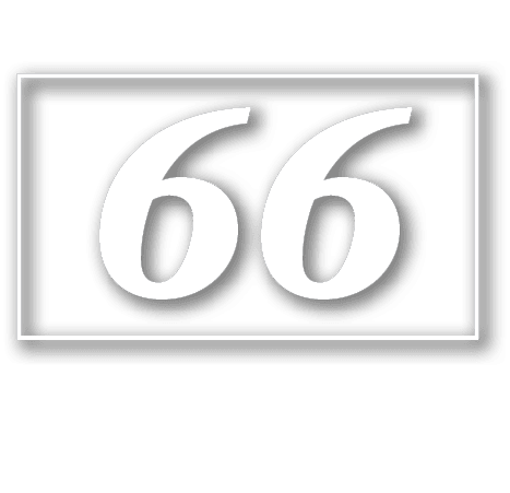 66