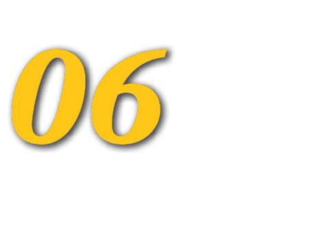 06