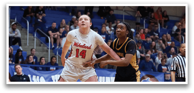 Wakeland vs Memorial Girls Basketball Playoffs