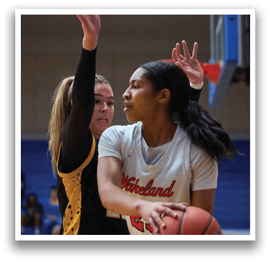 Wakeland vs Memorial Girls Basketball Playoffs