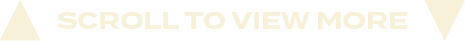 scroll to view mor