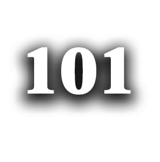 101