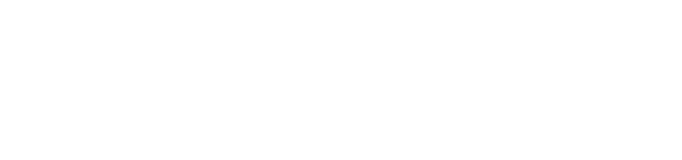 Stone Tia 17 pts