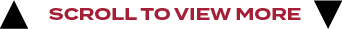 scroll to view mor