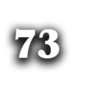 73