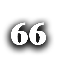 66