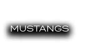 MUSTANGS