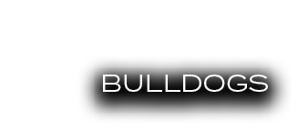 bulldogs
