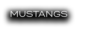 MUSTANGS
