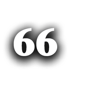 66