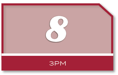 8,3P