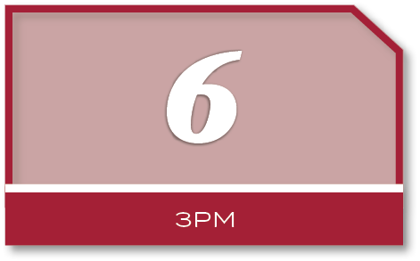 6,3P
