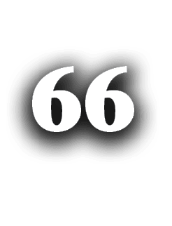 66