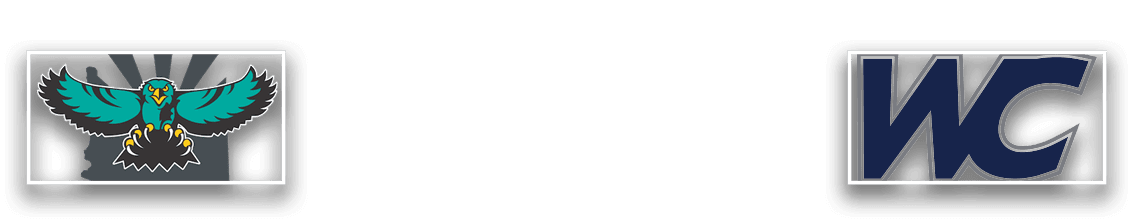 WILDCATS,HAWKS,JANUARY 3 | WILLOW CANYON,72,65,V