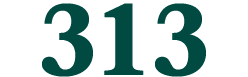 313