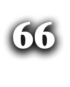 66