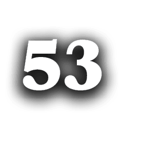 53