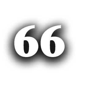 66