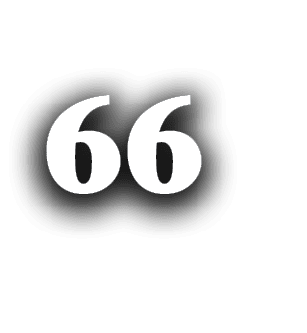 66