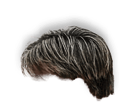 Rectangle