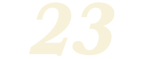 23