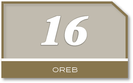 16,ore