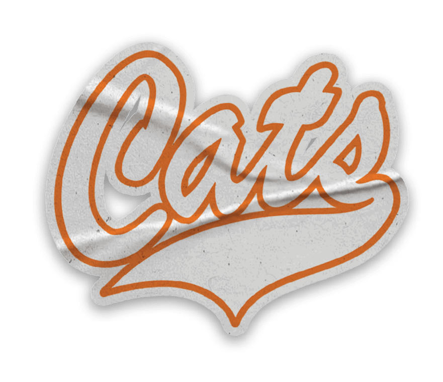 A collection of stickers with the word Cats on them. AI generated content