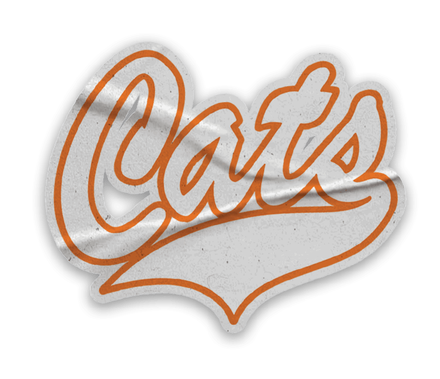 A collection of stickers with the word Cats on them. AI generated content